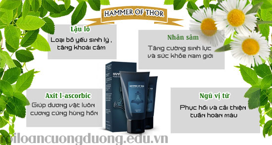 thành phần hammer of thor