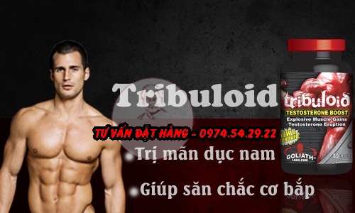 [Image: thuoc-tri-man-duc-dang-ong-tribuloid-10.jpg]
