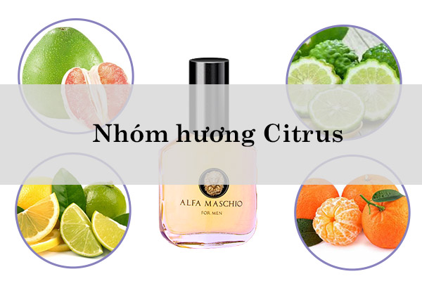 Nhom-huong-Citrus