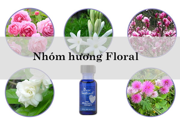Nhom-huong-Floral