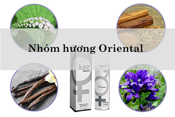 Nhom-huong-Oriental