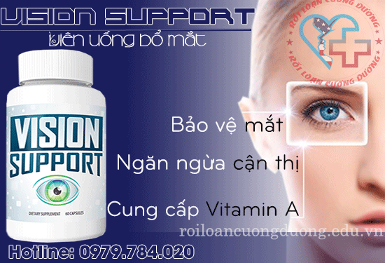 Vision-Support-vien-uong-bo-mat-3