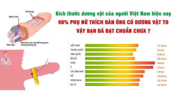 Kích thước dương vật người Việt là bao nhiêu? Kich-co-duong-vat-nguoi-viet-2