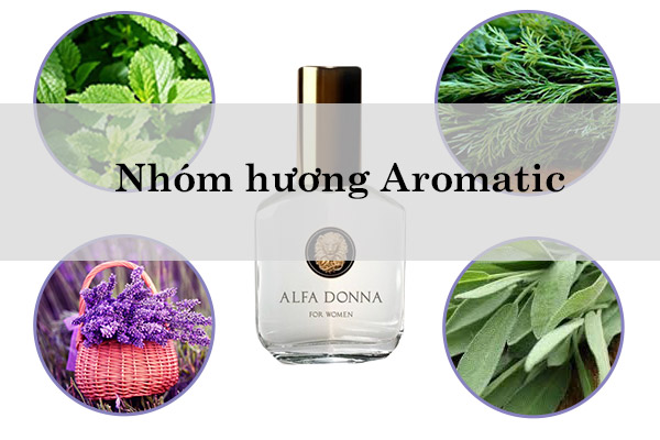 nhom-huong-aromatic